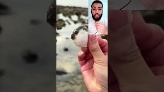 سبحان الله#دويتو #اكسبلور #اكسبلور #اكسبلور
