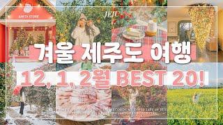  12월, 1월, 2월 겨울 제주도 여행 가볼 만한 곳 Best 20! | 제주 동백꽃 명소, 제주 가족 여행 코스