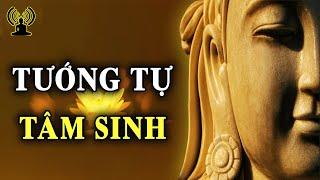 Tâm sinh tướng, tướng sinh mệnh. Tướng mạo thể hiện rõ thái độ sống của một người.