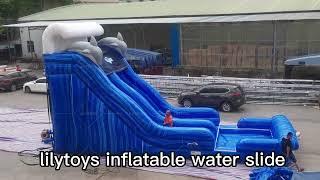 Lilytoys blue dolphin inflatable water slide #waterslide #bouncehouse