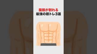 【有益】腹筋が割れる最強の筋トレ3選#雑学 #健康 #筋トレ