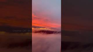 Midnight Sun from above the clouds #midnightsun #iceland #arcticcircle #aboveclouds