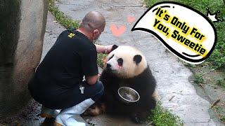 Nanny Secretly Feeding Panda He Hua Snacks | iPanda