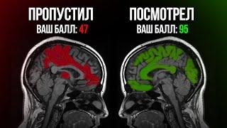 ПРОГНОЗ на ПЕРЕСДАЧУ с точностью 84% | Слив ЕГЭ по информатике 2024