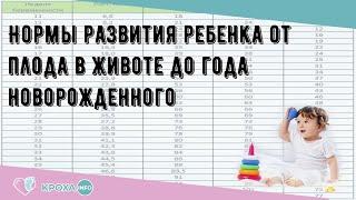 Нормы развития ребенка от плода в животе до года новорожденного