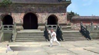 Dannuo Huang Wudang sanfeng taiji 太极28式