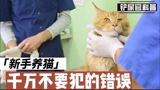 新手养猫千万不要犯的错误！ you should never make mistakes when raising a cat！