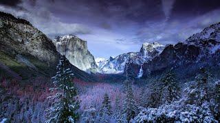 Windy Winter Storm in Yosemite | Wind Snow Snowstorm Sounds | Howling White Noise Ambience | 12 Hrs