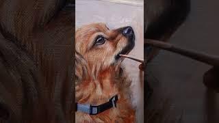 How to Paint Fur Texture  #dog #animalpainting #acrylicpainting