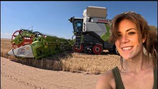 My First Wheat Harvest | CLAAS Lexion 8600TT