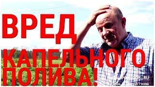 Вред от капельного полива и как его избежать. Капельный полив превратит Вашу землю в пустыню!