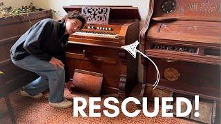 WE SAVED AN ORGAN! But can I play it?...