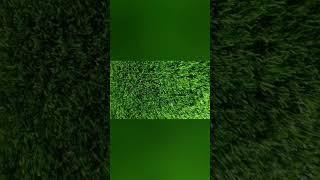 Artificial Grass Manufacturers wholesale and high quality! #artificalgrass #artificialplantwall