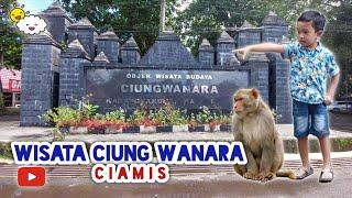 WISATA CIUNG WANARA Ciamis - Bisa kasih makan monyet lho...