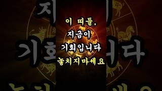 이 띠를 가진 사람, 인생 기회가 찾아옵니다