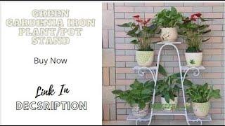 Green Gardenia Iron Plant/Pot Stand