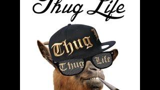 How to make thuglife video's on Android App