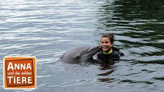 Wie pupst der Delfin? | Reportage für Kinder | Anna und die wilden Tiere