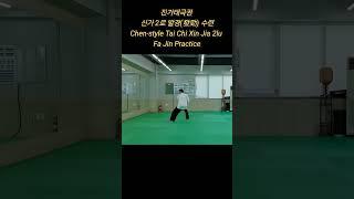 진가태극권 신가2로 발경(發勁) 수련 : Chen-style Tai Chi Xin Jia 2lu  Fa Jin (Explosive Energy) Practice #taichi