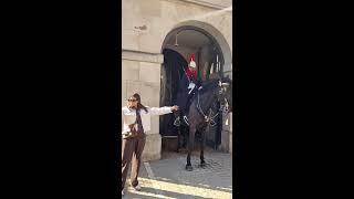 horse guards