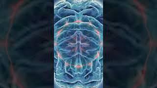 Theta Wave Binaural Beats: Deep Meditation • Sleep • Rise Intuition • Improve Memory