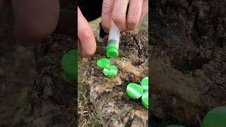 Survival skills:Lifehack with SOAP#bushcraft #survival #outdoors