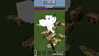 MINECRAFT TOKTOK HACKS