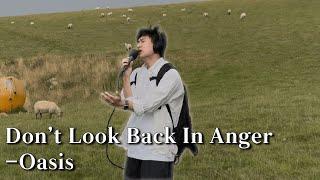 Here’s to the reunion of Oasis! (Don't Look Back In Anger-Oasis | SungJoon cover)