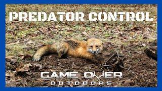 Predator Control | Dirt Hole Set | Red Fox Catch