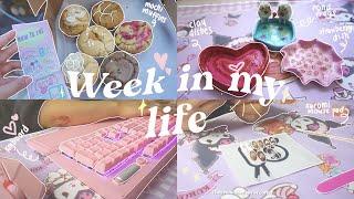 week in my life  | superlove.jp, kuromi mouse pad, J-Town, mochi muffins