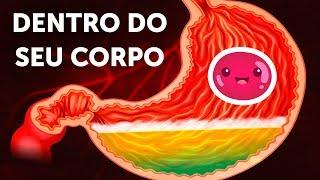 Uma Jornada Dentro Do Corpo Humano