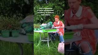 Когда заставили работать