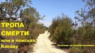 Тропа Смерти или в поисках Какаду (Охотник за впечатлениями)