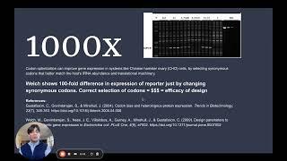 CHOFormer: Improving Codon Optimization with Transformers in Cricetulus griseus