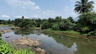 5 Acre Rivertouch Farmhouse For Sale In KARJAT. Sai Properties 9773181911/8655885050