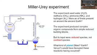 Do Giant Impacts Kickstart Rocky Planet Habitability?