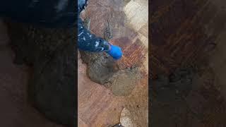 We saved these historic floors! #historichome #oldhouse #interiordesign #renovation #restoration