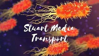 Stuart Transport Media