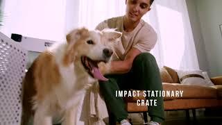 The Stationary Impact Dog Crate