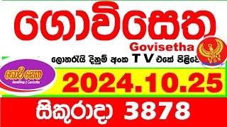 Govisetha 3878 2024.10.25 Today nlb Lottery Result අද ගොවිසෙත දිනුම් ප්‍රතිඵල  Lotherai dinum anka