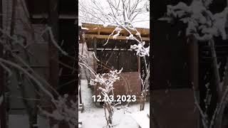 Приморский край. Весна #большойкамень