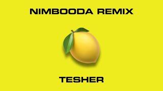 Nimbooda (Tesher Remix)