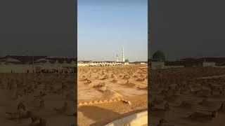 mery aqa#short#shortvideo #shortfeed # cookscorner