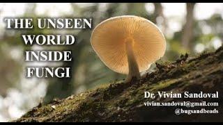 The Unseen World Inside Fungi