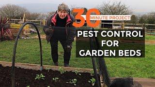 EASY Garden Pest Control | Netting Tunnel | Half hour gardening project