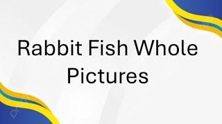 Rabbit Fish Whole