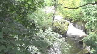 Keillour wood & Buchanty spout, Perthshire.