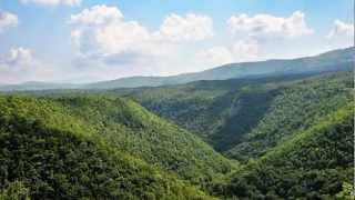 World Heritage - Ancient Beech Forests of Germany