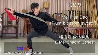 華藝精武- 峨嵋派 少林拳系 梅花刀E Mei Shaolin Series Mei Hua Dao