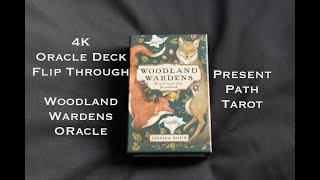 Woodland Wardens Oracle Deck 4K Flip Through